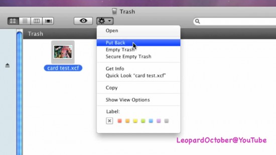 secure empty trash mac snow leopard