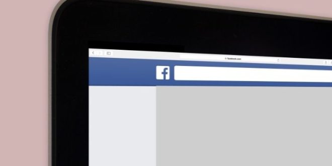 facebook search bar