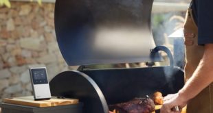 Upgrade Your BBQ with These Grilling Gadgets: Typhur Sync Wireless Meat Thermometer