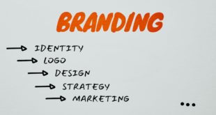 Logo and Branding Elevating Your Online Presence in Sydney