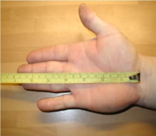 Average Hand of a Male