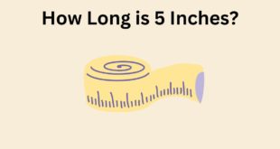 How Long is 5 Inches