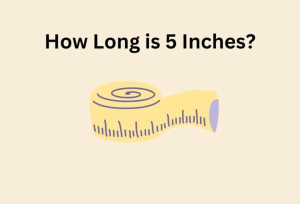 How long is 5 inches