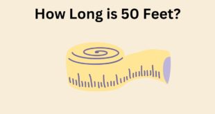 How Long is 50 Feet