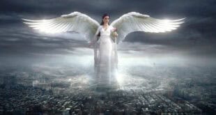 angel